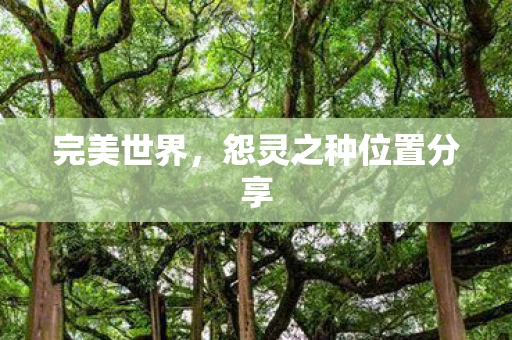 完美世界，怨灵之种位置分享