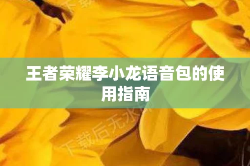 王者荣耀李小龙语音包的使用指南图片