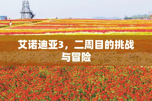 艾诺迪亚3，二周目的挑战与冒险