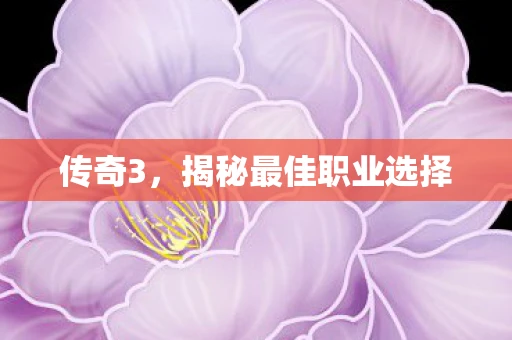 传奇3，揭秘最佳职业选择