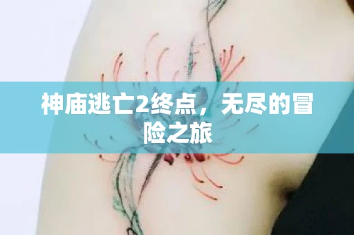 神庙逃亡2终点，无尽的冒险之旅