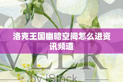 洛克王国幽暗空间怎么进资讯频道