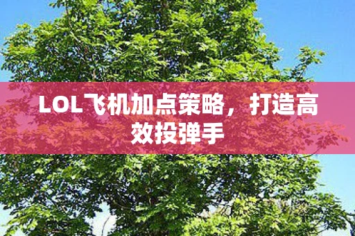 LOL飞机加点策略，打造高效投弹手
