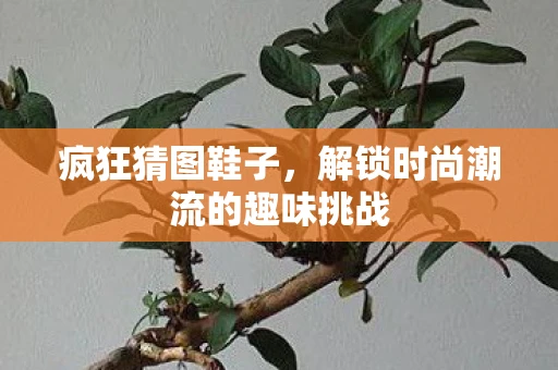 疯狂猜图鞋子，解锁时尚潮流的趣味挑战