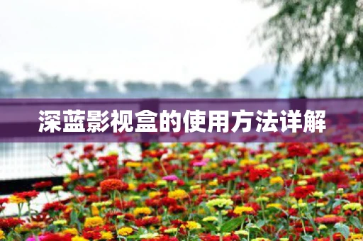 深蓝影视盒的使用方法详解