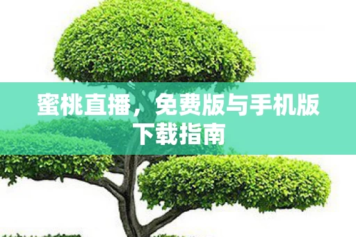 免费版与手机版下载指南图片