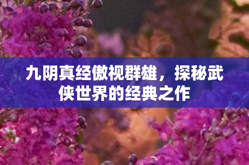 九阴真经傲视群雄，探秘武侠世界的经典之作
