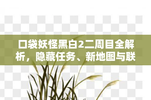 口袋妖怪黑白2二周目全解析，隐藏任务、新地图与联动