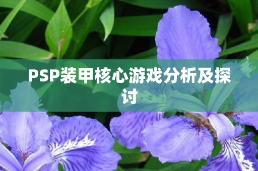 PSP装甲核心游戏分析及探讨