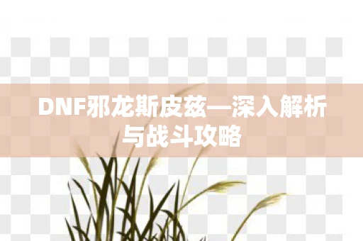 DNF邪龙斯皮兹—深入解析与战斗攻略
