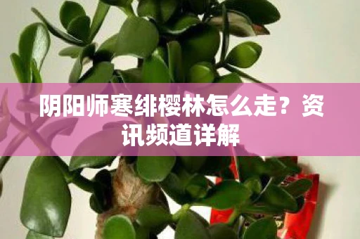 阴阳师寒绯樱林怎么走？资讯频道详解