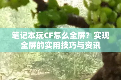 笔记本玩CF怎么全屏？实现全屏的实用技巧与资讯