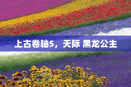 上古卷轴5，天际 黑龙公主