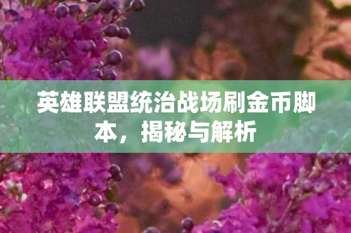 英雄联盟统治战场刷金币脚本，揭秘与解析