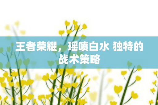 王者荣耀，瑶喷白水 独特的战术策略