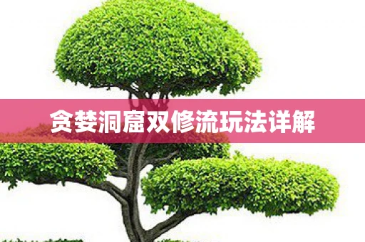 贪婪洞窟双修流玩法详解