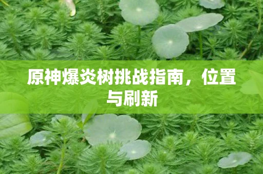 原神爆炎树挑战指南，位置与刷新