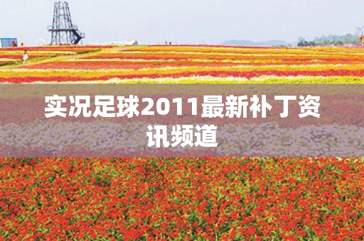 实况足球2011最新补丁资讯频道
