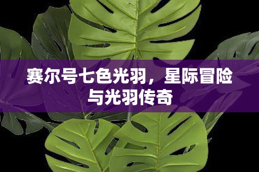 赛尔号七色光羽，星际冒险与光羽传奇