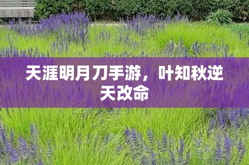 天涯明月刀手游，叶知秋逆天改命