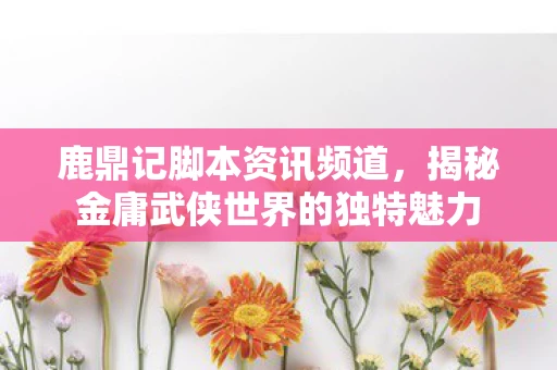 鹿鼎记脚本资讯频道，揭秘金庸武侠世界的独特魅力