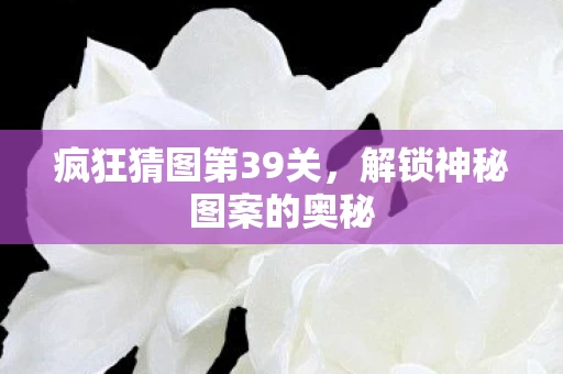 解锁神秘图案的奥秘图片