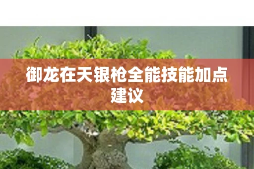 御龙在天银枪全能技能加点建议