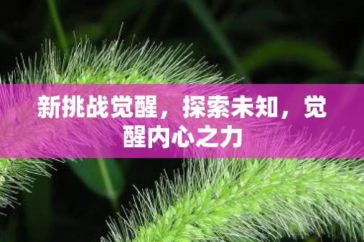 新挑战觉醒，探索未知，觉醒内心之力