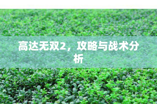 高达无双2，攻略与战术分析