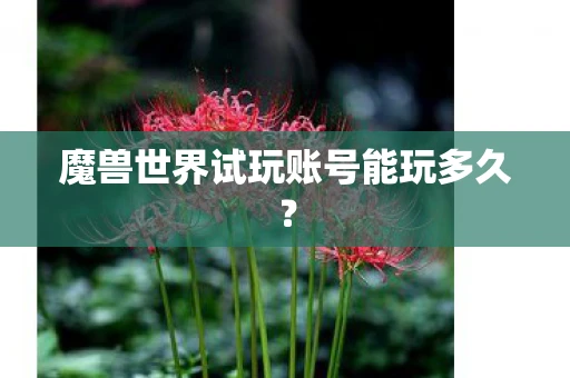 魔兽世界试玩账号能玩多久？