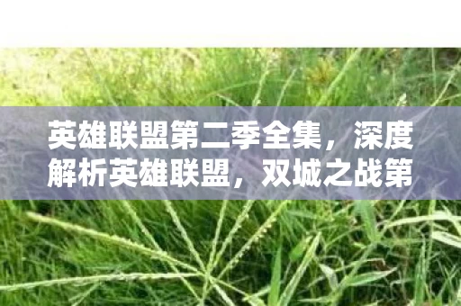 英雄联盟第二季全集图片