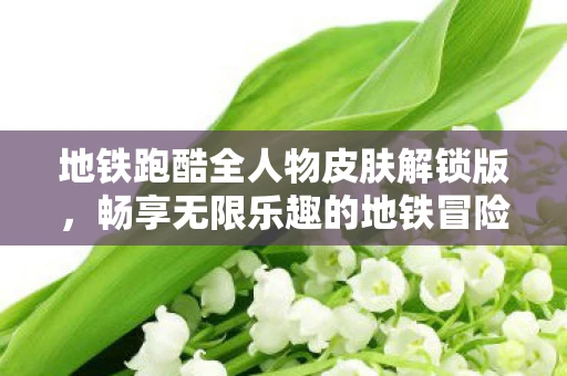 地铁跑酷全人物皮肤解锁版，畅享无限乐趣的地铁冒险