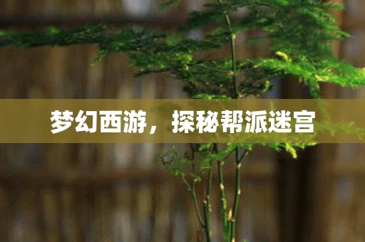 梦幻西游，探秘帮派迷宫