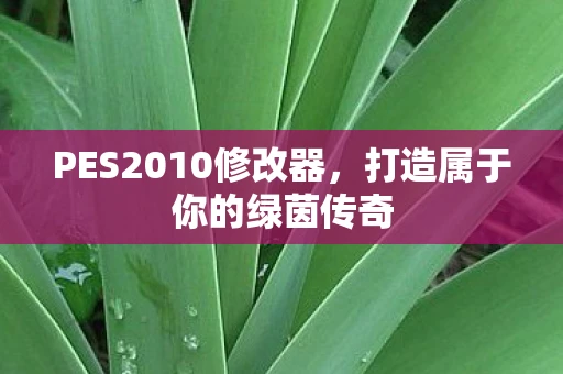 PES2010修改器，打造属于你的绿茵传奇