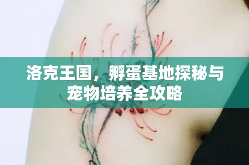 洛克王国，孵蛋基地探秘与宠物培养全攻略