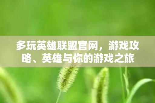 多玩英雄联盟官网，游戏攻略、英雄与你的游戏之旅