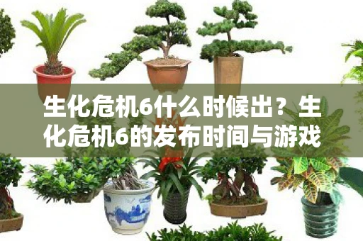 生化危机6什么时候出？生化危机6的发布时间与游戏内容分析