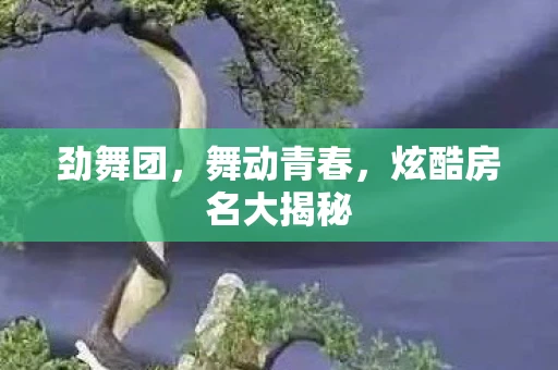 劲舞团，舞动青春，炫酷房名大揭秘