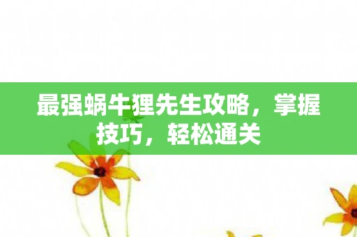 最强蜗牛狸先生攻略，掌握技巧，轻松通关