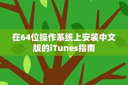 在64位操作系统上安装中文版的iTunes指南