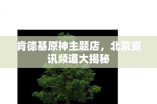 肯德基原神主题店，北京资讯频道大揭秘
