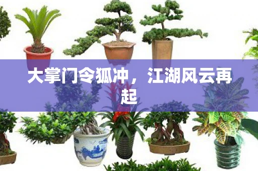 大掌门令狐冲，江湖风云再起