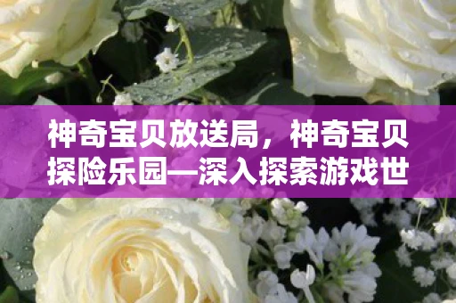 神奇宝贝放送局，神奇宝贝探险乐园—深入探索游戏世界的奥秘