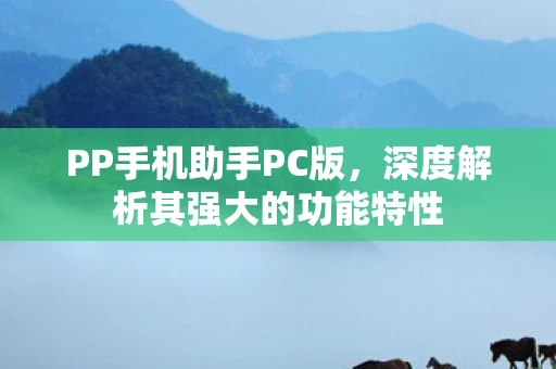 PP手机助手PC版，深度解析其强大的功能特性