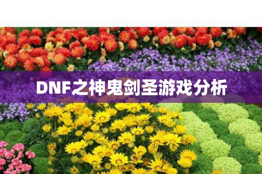 DNF之神鬼剑圣游戏分析