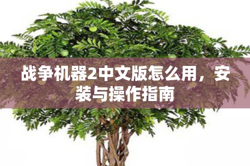 战争机器2中文版怎么用，安装与操作指南