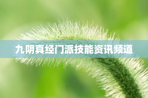 九阴真经门派技能资讯频道