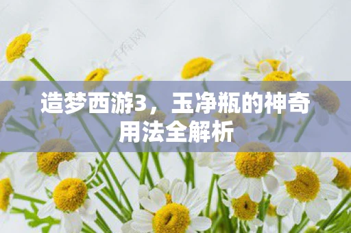 造梦西游3，玉净瓶的神奇用法全解析