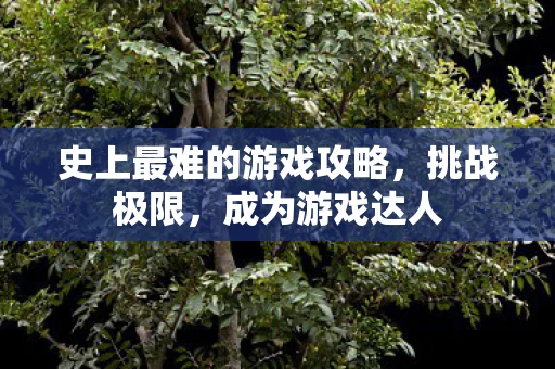 史上最难的游戏攻略，挑战极限，成为游戏达人