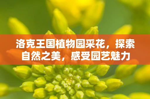 洛克王国植物园采花，探索自然之美，感受园艺魅力
